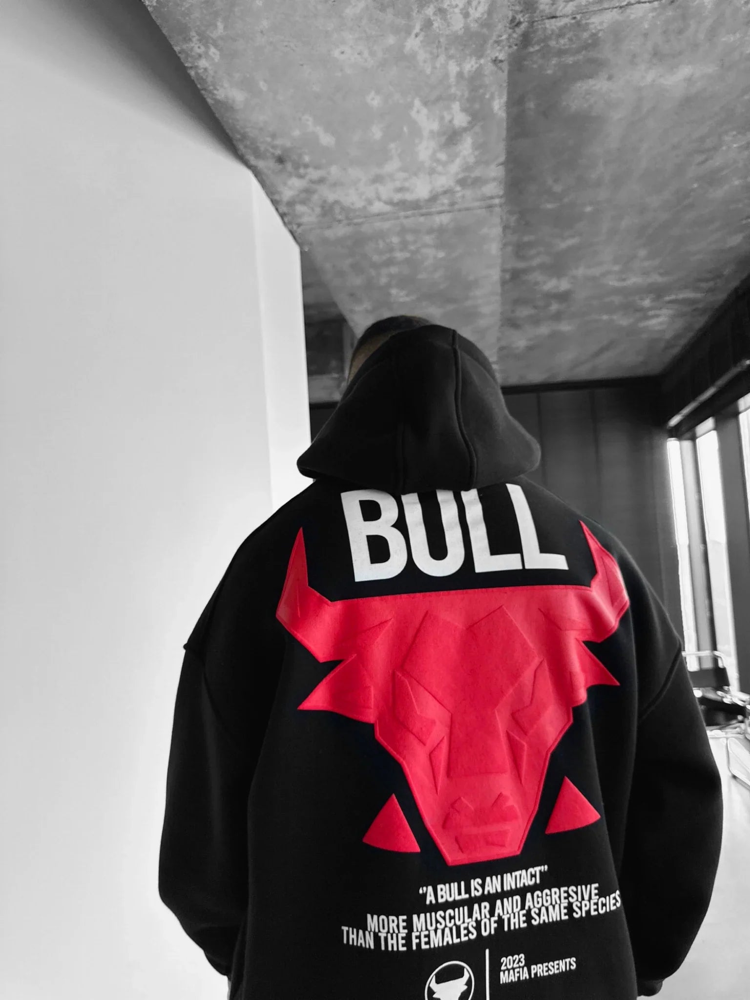 The Bull - Black - Oversized Hoodie